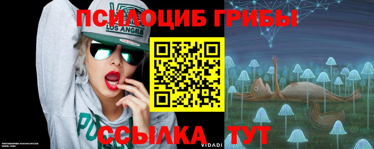 Галлюциногенные грибы GOLDEN TEACHER  Вход с VPN  Псилоцибиновые грибы Cubensis  Южно-Сахалинск 